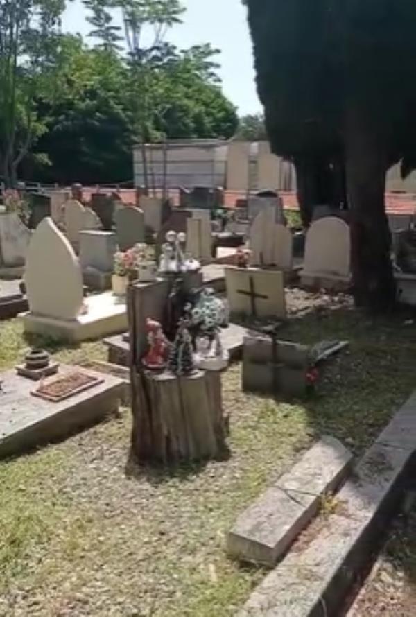 images Catanzaro, gli uffici comunali "aprono gli occhi" e il cimitero viene bonificato. Ma le responsabilità restano