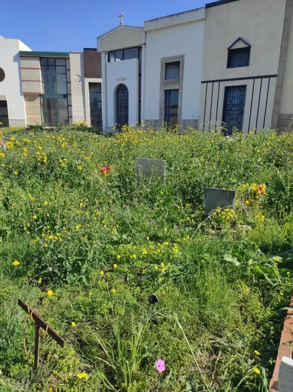 images Catanzaro, il gruppo Lega: "Cimitero di Lido nel degrado, ecco le nostre proposte"