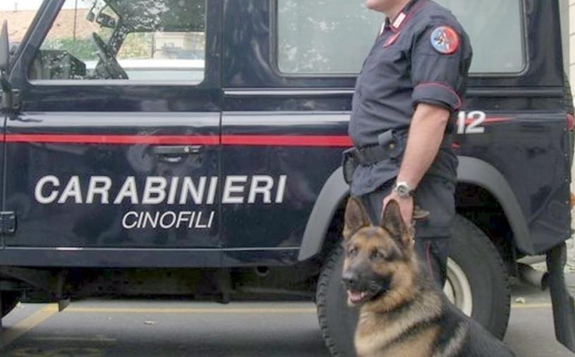 images Blitz antidroga a Crotone: 11 arresti 