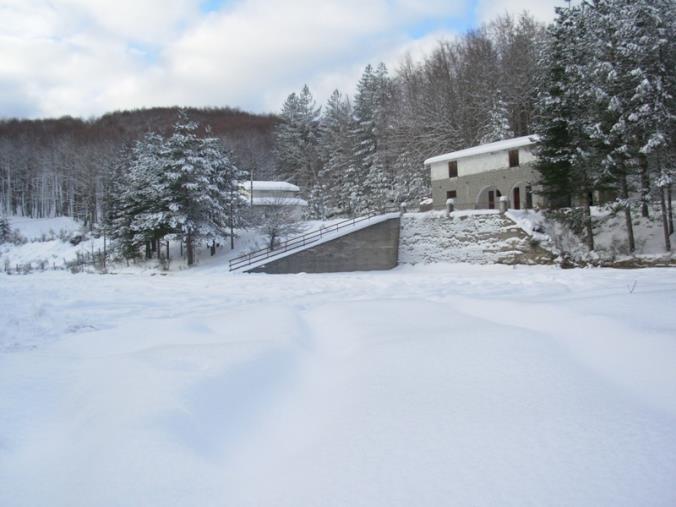 images "Ciricilla per tutti", approvato e finanziato il progetto: la soddisfazione di Gilda Russo (Asd Calabriando)