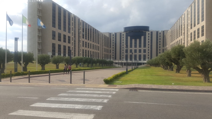 images Coronavirus. Santelli istituisce la task force economica per fronteggiare l'emergenza