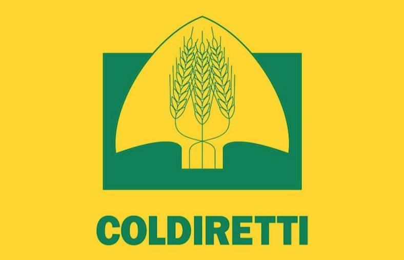 images Il Consorzio Tirreno Vibonese ha aumentato la tariffa irrigua. Coldiretti: "Agricoltori della Cipolla Rossa di Tropea IGP sono pronti a proteste eclatanti"

 