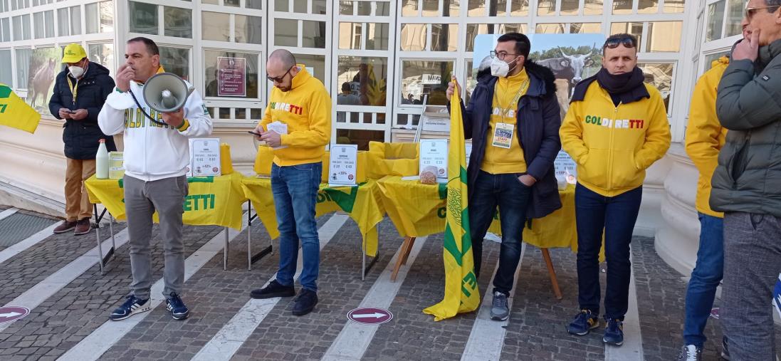 Coldiretti in piazza a Catanzaro: "Evitare di svendere le nostre produzioni" images Coldiretti in piazza a Catanzaro: "Evitare di svendere le nostre produzioni"