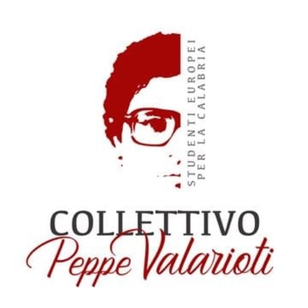 images Voto ai fuorisede. Il Collettivo Valarioti: "Bene l'interesse trasversale, ora impegno del Parlamento e del Consiglio regionale" 