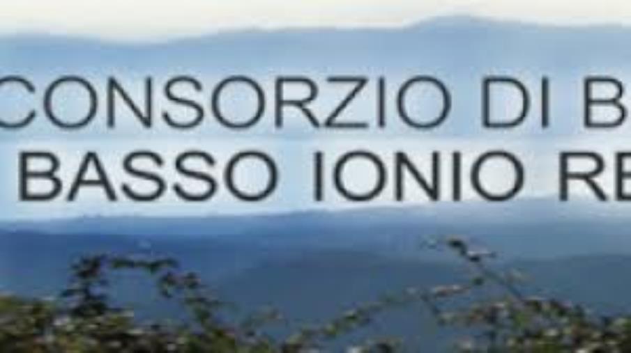 Auto in fiamme a Badolato: intervengono i vigili del fuoco. Non ci sono feriti  images Auto in fiamme a Badolato: intervengono i vigili del fuoco. Non ci sono feriti