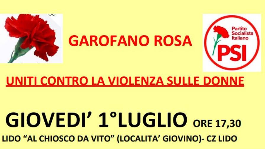 images "Uniti contro la violenza di genere": giovedì l'associazione Garofano Rosa ne parla a Giovino