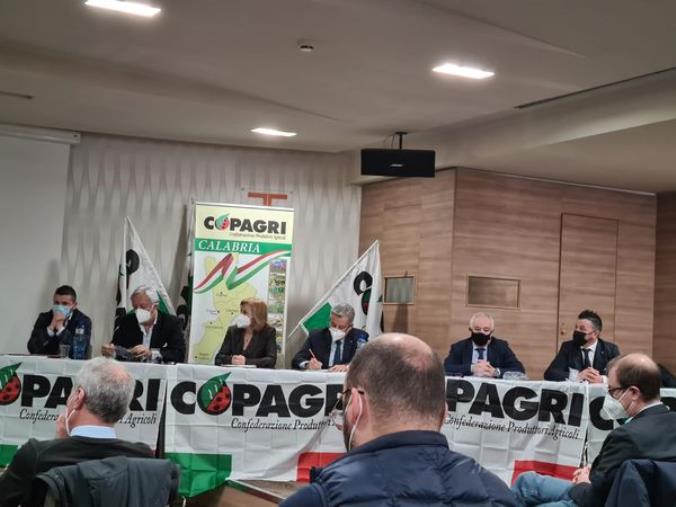Copagri, successo della Federazione alle elezioni per il consorzio di bonifica del Tirreno reggino images Copagri, successo della Federazione alle elezioni per il consorzio di bonifica del Tirreno reggino