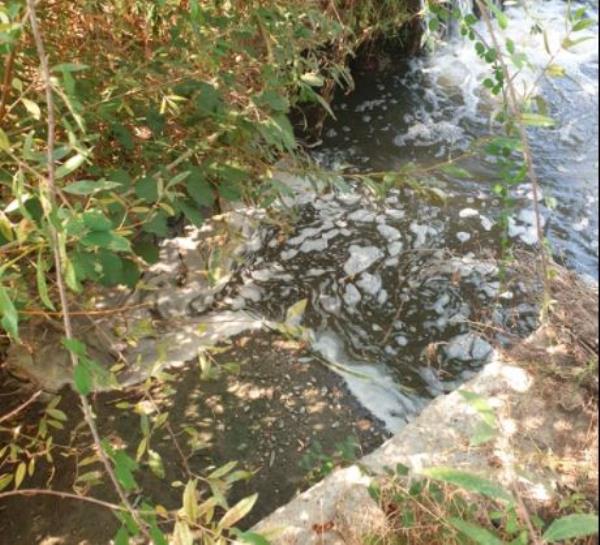 images Catanzaro. Riccio: "Il Corace è una cloaca a cielo aperto, gli autori del disastro ambientale vanno arrestati"