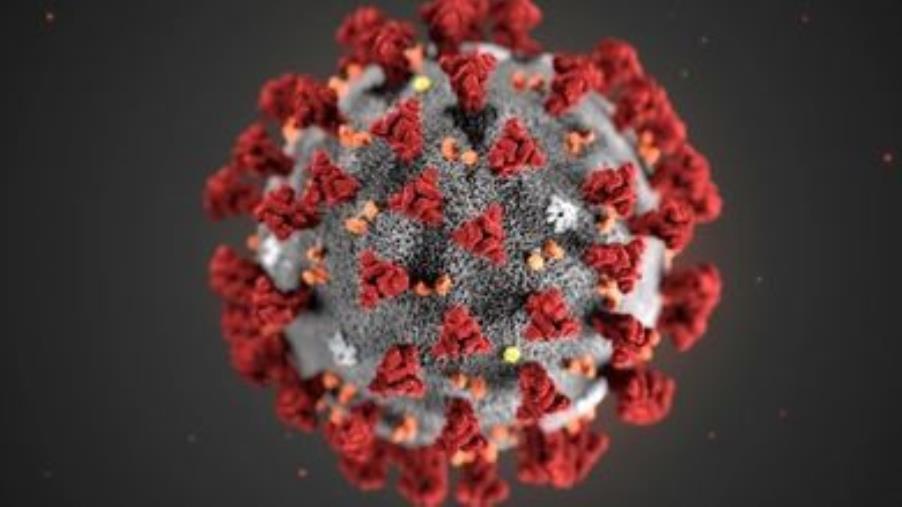images Coronavirus. Catanzaro con Abramo replica al Pd: "Tensostruttura serve per poter agire in anticipo, con un supporto ulteriore al Pugliese e al Policlinico"  
