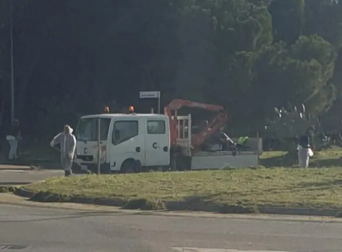 Catanzaro, Gruppo Lega: "Il verde è gestito dal pubblico o dal privato?" images Catanzaro, Gruppo Lega: "Il verde è gestito dal pubblico o dal privato?"