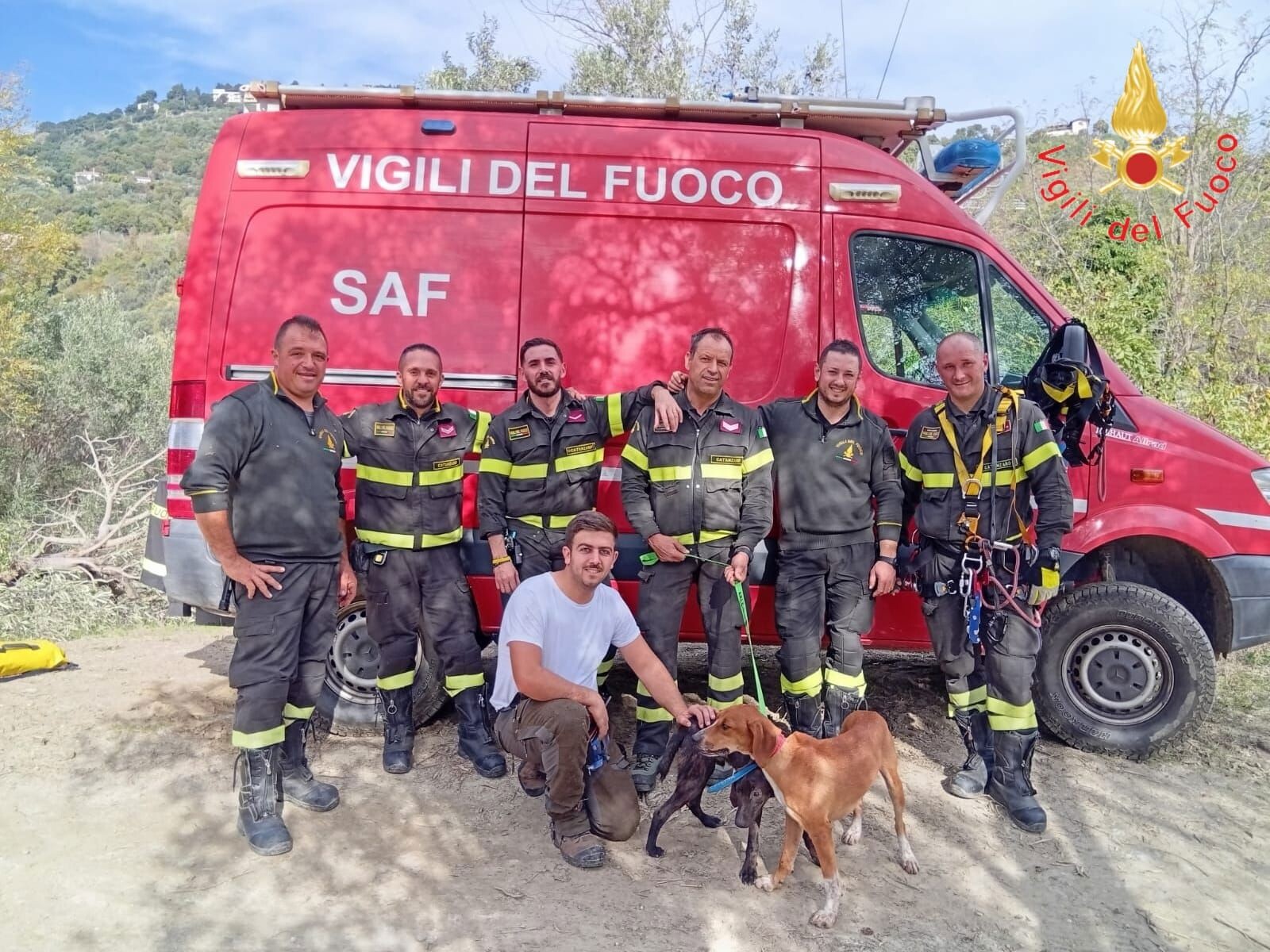 Catanzaro, 2 cani da caccia precipitano in un dirupo: salvati dai vigili del fuoco images Catanzaro, 2 cani da caccia precipitano in un dirupo: salvati dai vigili del fuoco