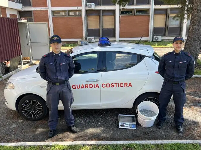 Pesca abusiva, la Guardia costiera di Gioia Tauro ha sequestrato 15 chili di novellame images Pesca abusiva, la Guardia costiera di Gioia Tauro ha sequestrato 15 chili di novellame