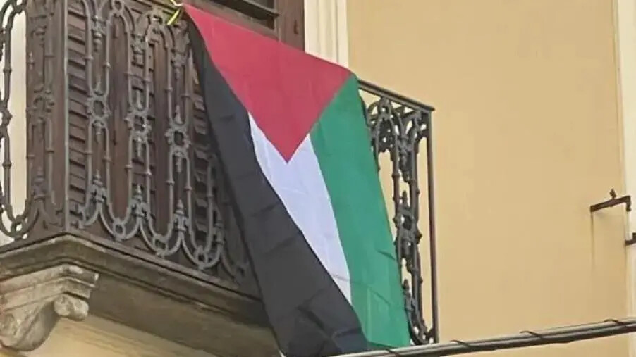 images Catanzaro, la sede del Codacons espone la bandiera palestinese: solidarietà e coscienza civile