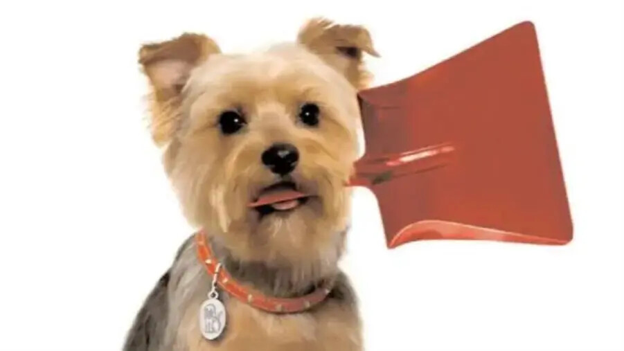 images Lettera a Tito, turismo "sporcato" dai cani