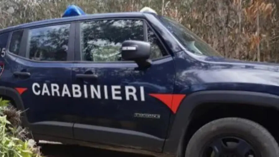 images Da Milano a Catanzaro con un pacco di droga: scarcerati tre giovani presunti trafficanti 