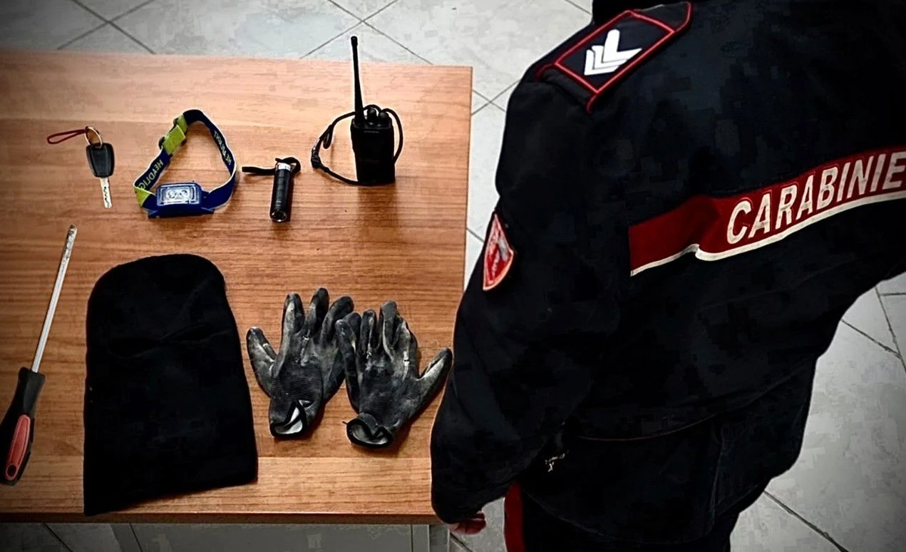 Lamezia, furti  a “Cantine Lento” e “Splendidi e Splendenti”: uno dei 2 ladri beccato in un cassonetto