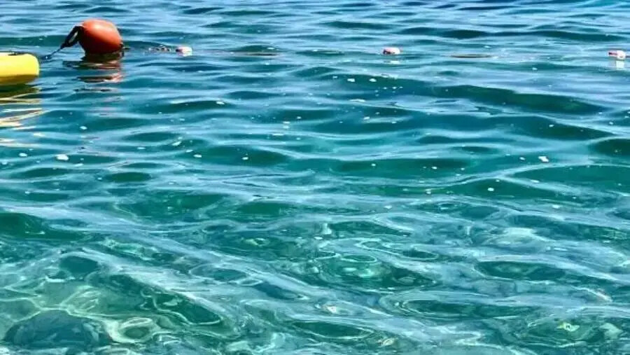 Soverato, schiuma sospetta in mare in località San Nicola: preoccupazione per la qualità delle acque images Soverato, schiuma sospetta in mare in località San Nicola: preoccupazione per la qualità delle acque