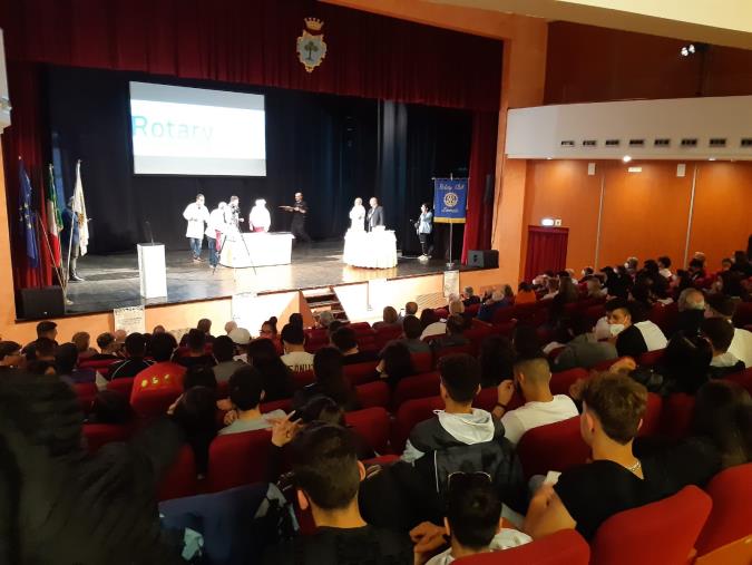 Rotary Club Soverato, alla scoperta dell’ulivo e del suo tesoro images Rotary Club Soverato, alla scoperta dell’ulivo e del suo tesoro