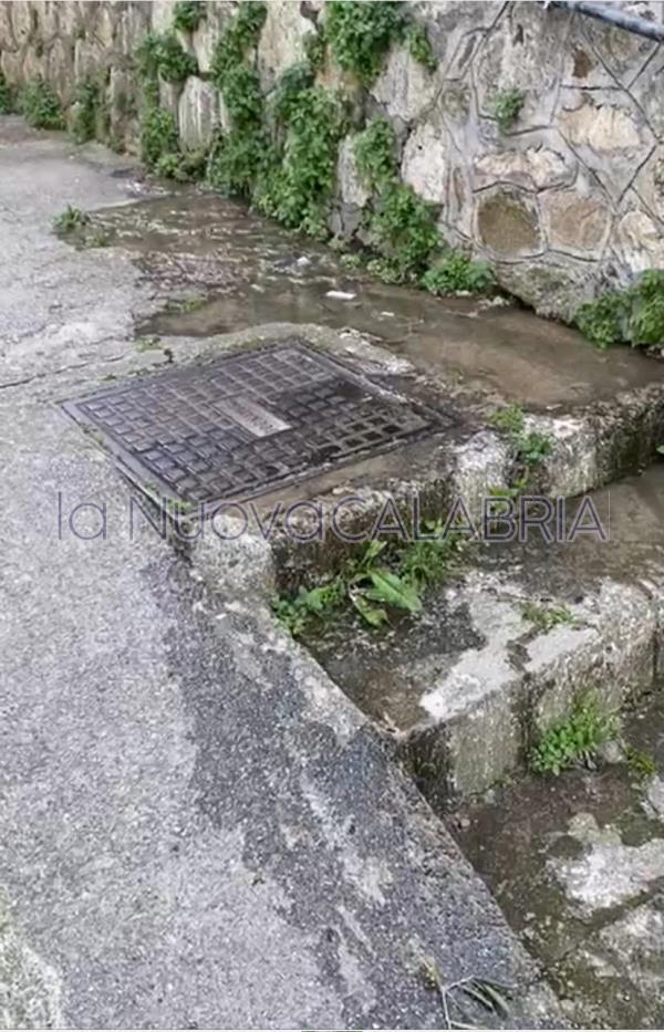 images Catanzaro, fogna a cielo aperto tra i condomini di via Antonio Greco 
