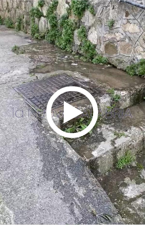 images Catanzaro, fogna a cielo aperto tra i condomini di via Antonio Greco 
