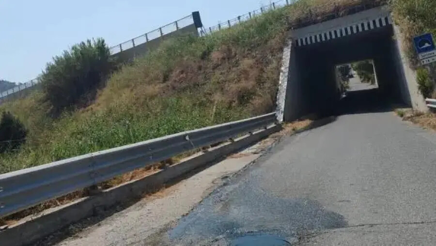 Catanzaro, a viale Tagliamento fogna a cielo aperto: residenti sul piede di guerra images Catanzaro, a viale Tagliamento fogna a cielo aperto: residenti sul piede di guerra