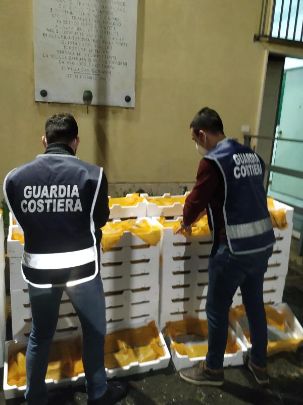 Villa San Giovanni, sequestrati 450 chili di 'bianchetto': multa da 25 mila euro images Villa San Giovanni, sequestrati 450 chili di 'bianchetto': multa da 25 mila euro