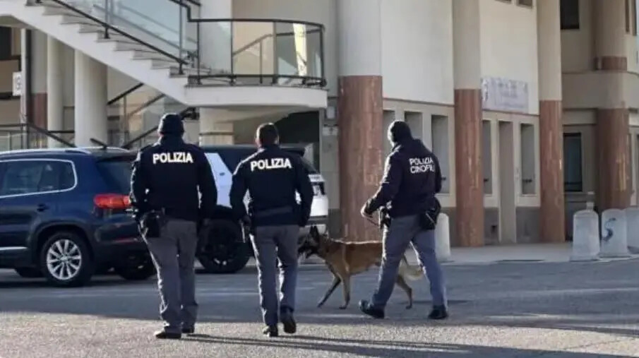 images Crotone, bimba aggredita da un cane in strada: ricoverata e operata d’urgenza