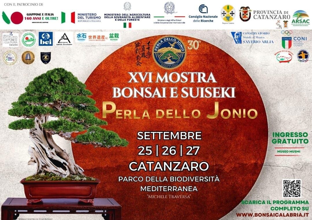 Catanzaro, il 25 settembre apre la XVI Mostra Bonsai e Suiseki: un nuovo giardino nel Parco della Biodiversità e la prima presentazione de "Il Getsemani" images Catanzaro, il 25 settembre apre la XVI Mostra Bonsai e Suiseki: un nuovo giardino nel Parco della Biodiversità e la prima presentazione de "Il Getsemani"