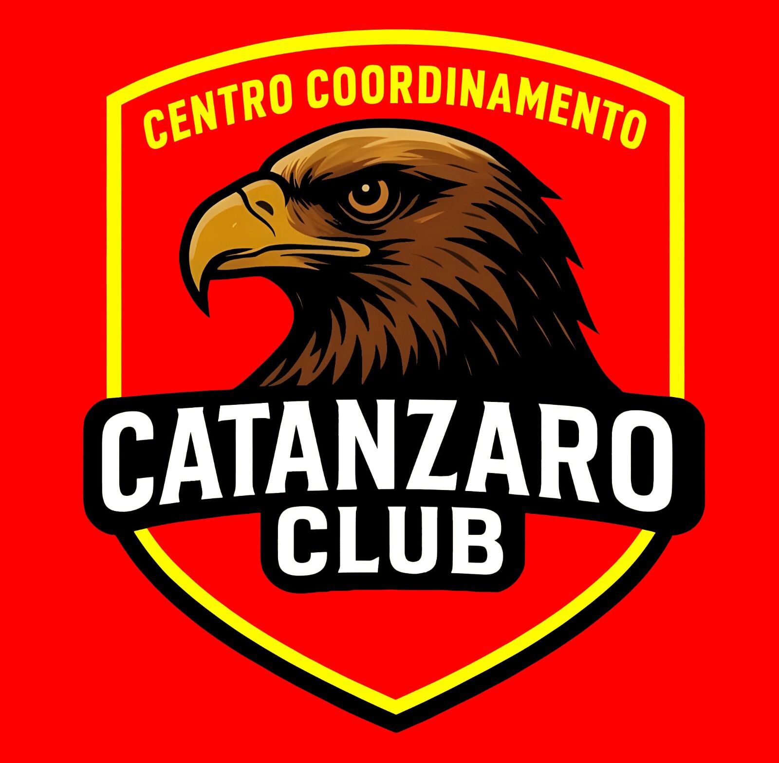 images Centro Coordinamento Catanzaro Club: "Quello che abbiamo visto ieri era un film già visto"  