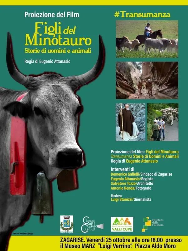 Zagarise ospita il film "Figli del Minotauro / Storie di uomini e animali" rinviato per maltempo  images Zagarise ospita il film "Figli del Minotauro / Storie di uomini e animali" rinviato per maltempo