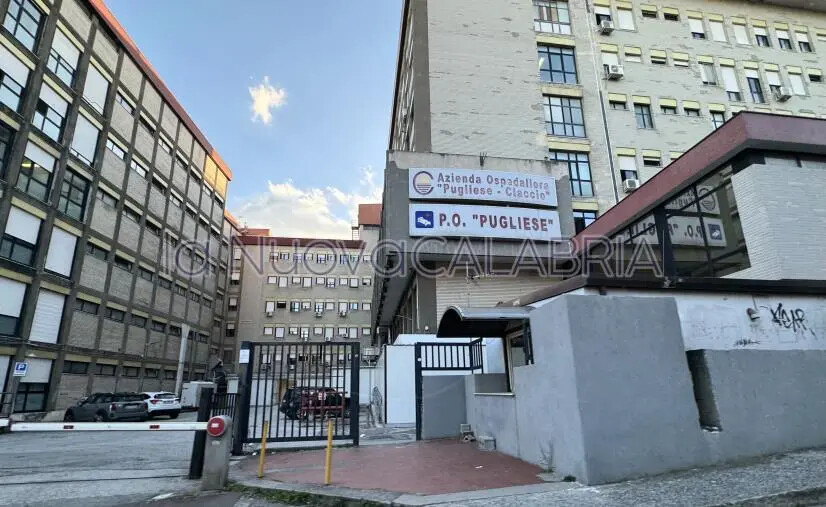 images Gravi disservizi al CUP dell’Ospedale Pugliese di Catanzaro: la denuncia di un lettore
