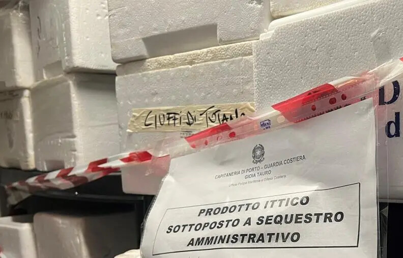 Palmi, sequestrati 140 kg di prodotto ittico non tracciato in un ristorante della costiera images Palmi, sequestrati 140 kg di prodotto ittico non tracciato in un ristorante della costiera