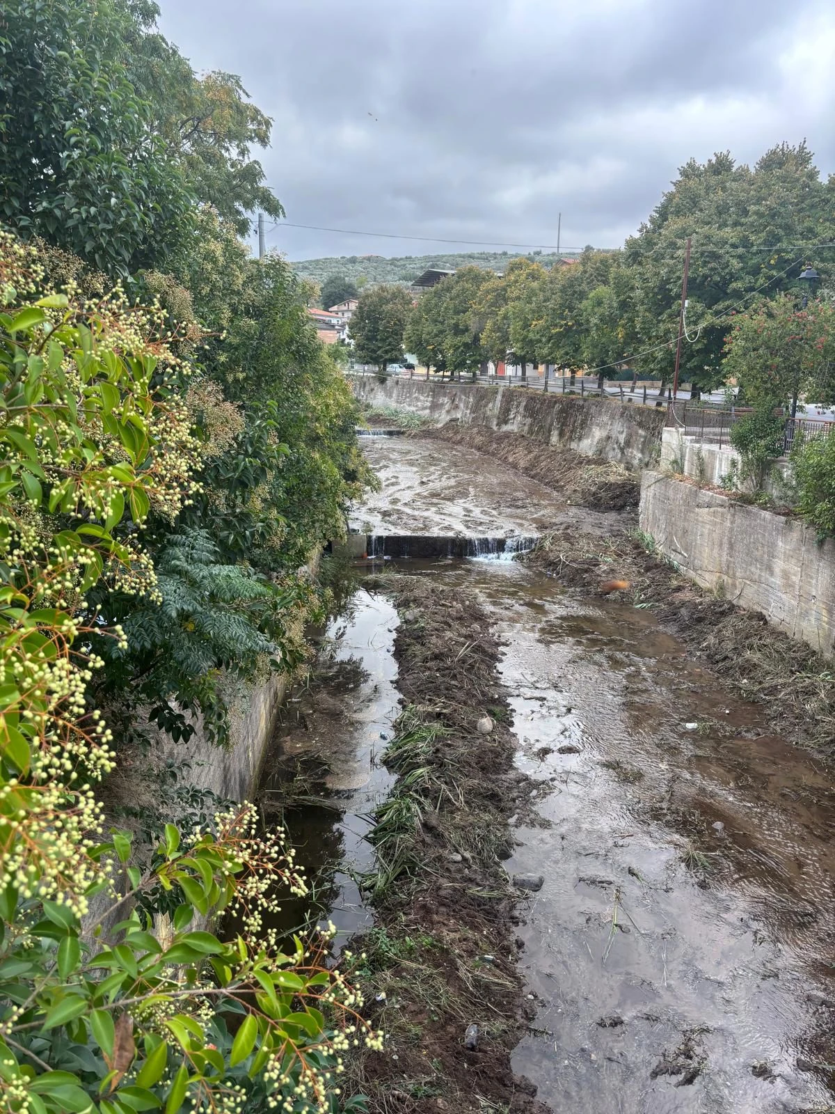 Puliti i corsi d’acqua a Vallefiorita, Bruno: "Lavoro promosso con il Comune e Calabria Verde"