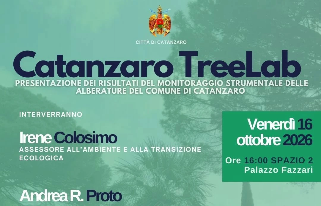 Catanzaro TreeLab, venerdì la presentazione dei risultati del monitoraggio delle alberature cittadine