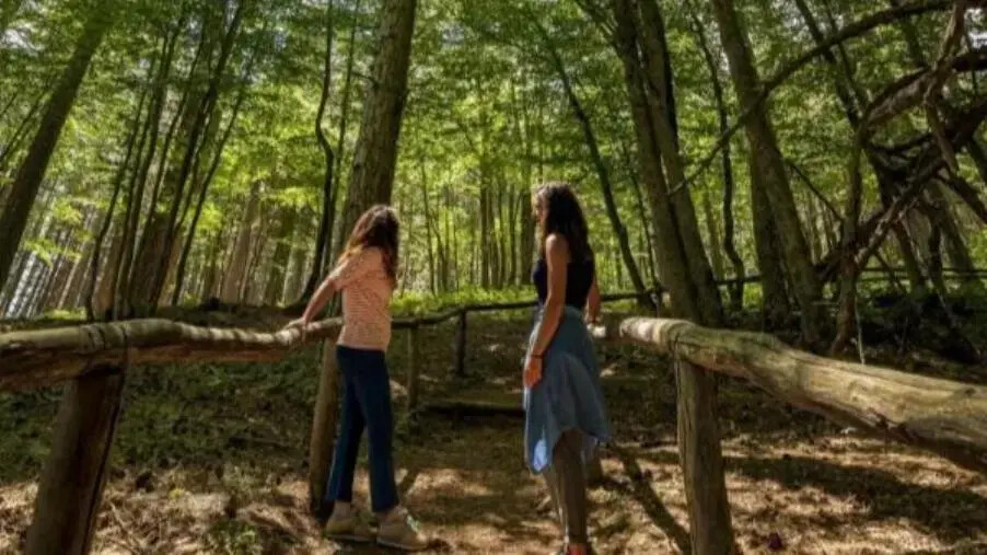 Tornano le sere d'estate FAI ai Giganti della Sila images Tornano le sere d'estate FAI ai Giganti della Sila