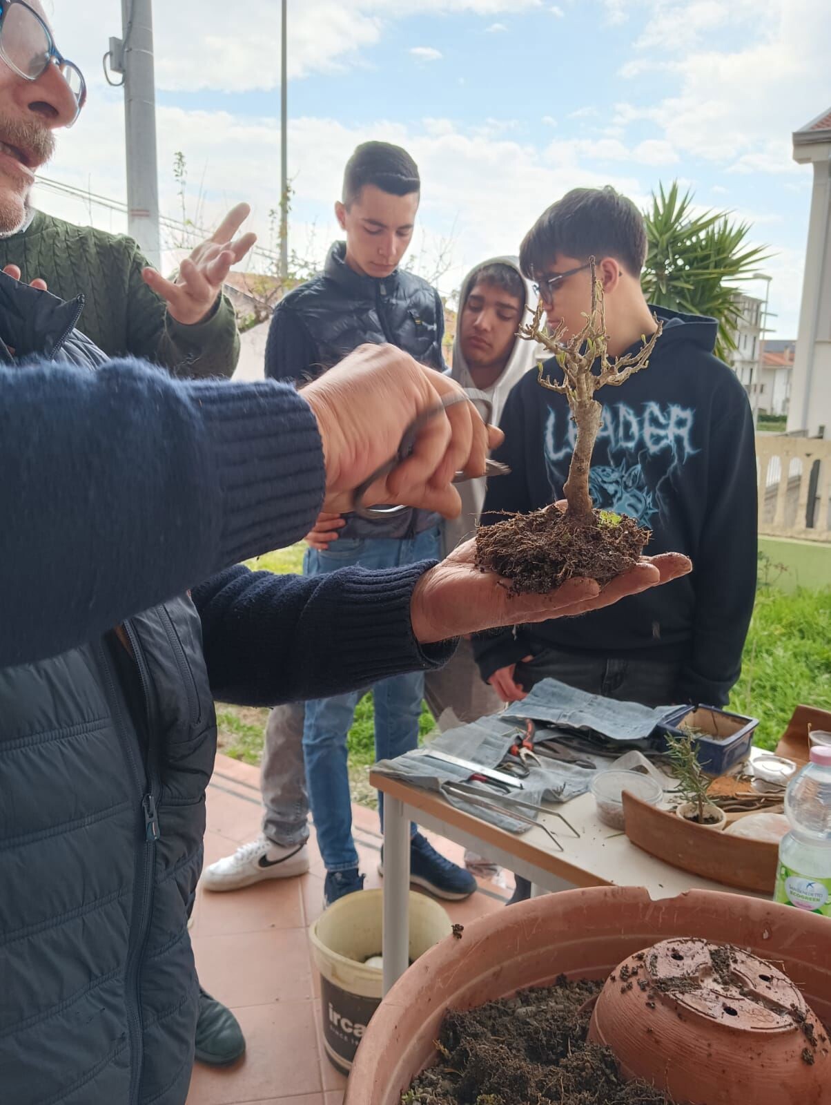images L'arte millenaria del bonsai protagonista all'Istituto Tecnico Agrario di Gizzeria 