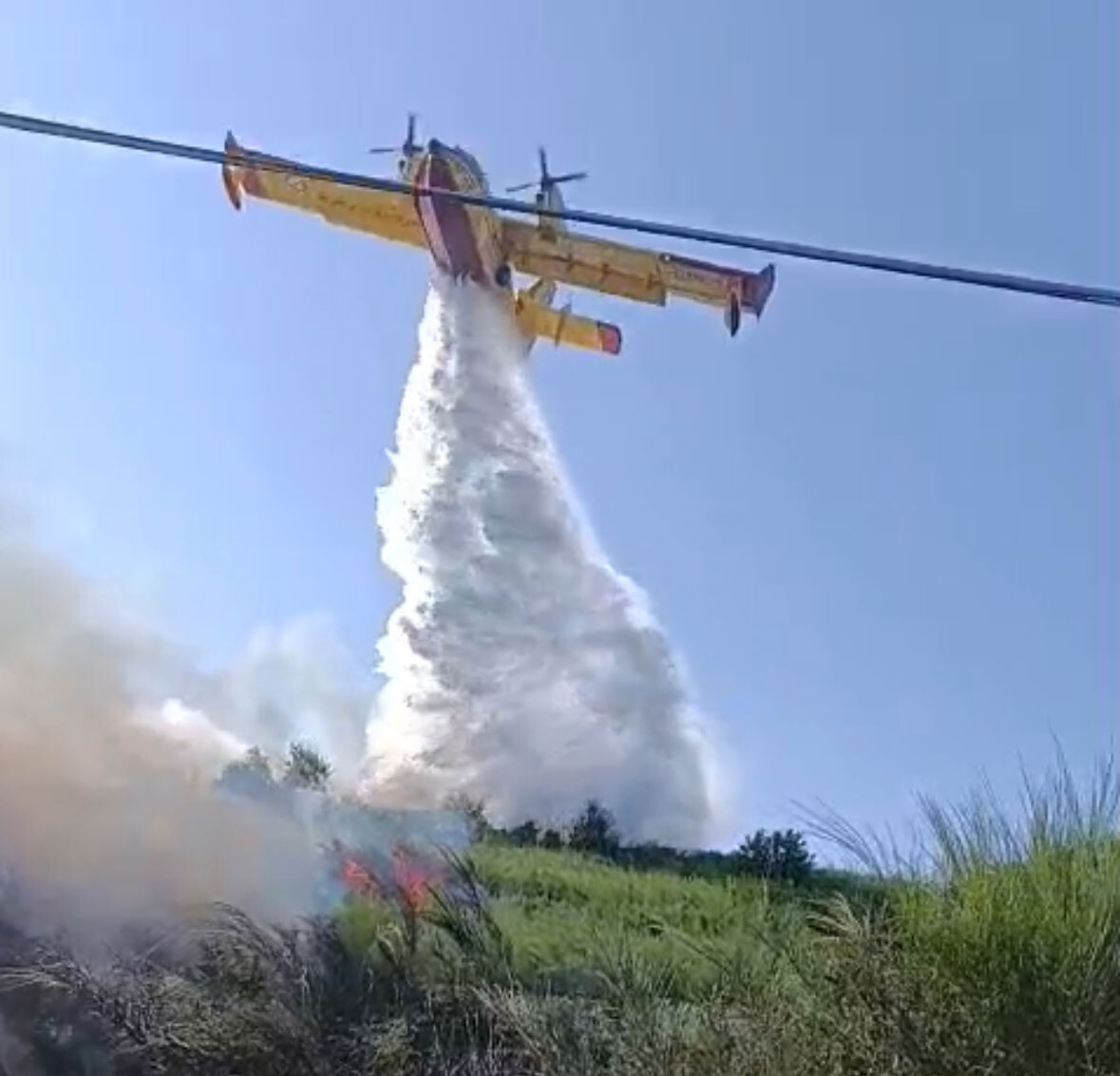 Lamezia Terme (CZ) – Incendio di vegetazione tra le località San Minà e Acquafredda images Lamezia Terme (CZ) – Incendio di vegetazione tra le località San Minà e Acquafredda