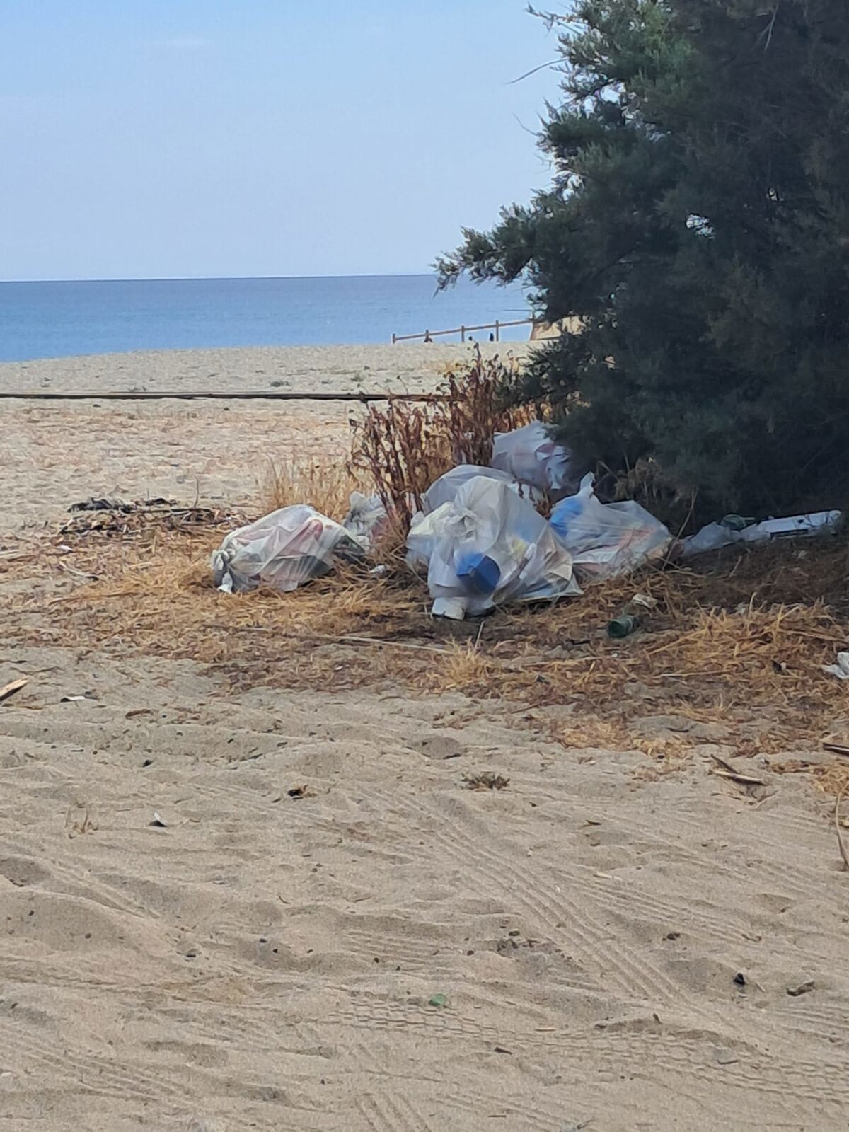 images Dune di Giovino, Riccio: "Tra passerelle e assenze istituzionali, servono fatti non foto”