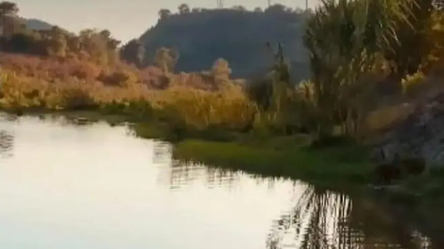 Nasce a Catanzaro “Caninum Dog's Relais”, primo Centro di Formazione Cinofila riconosciuto ENCI images Nasce a Catanzaro “Caninum Dog's Relais”, primo Centro di Formazione Cinofila riconosciuto ENCI