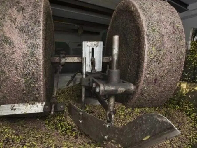 images Bando ammodernamento frantoi oleari, Regione pubblica graduatoria provvisoria&nbsp;