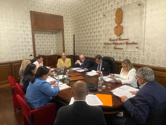 images Ok anche dal Consiglio camerale al bilancio d’esercizio 2023 della Camera di Commercio di Catanzaro, Crotone e Vibo Valentia 