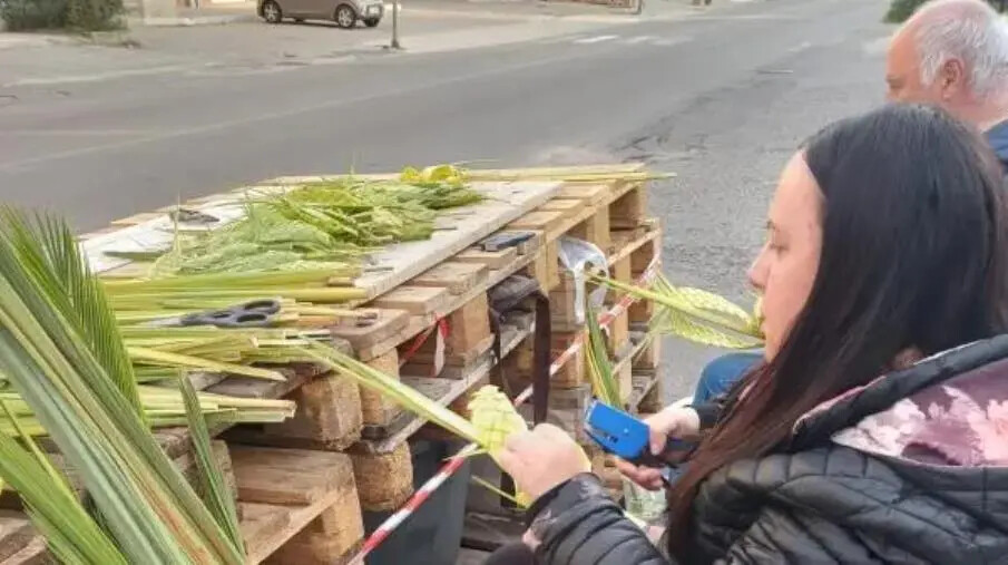 Intrecciare la Pace: dalle Palme di Davoli un messaggio per il mondo images Intrecciare la Pace: dalle Palme di Davoli un messaggio per il mondo