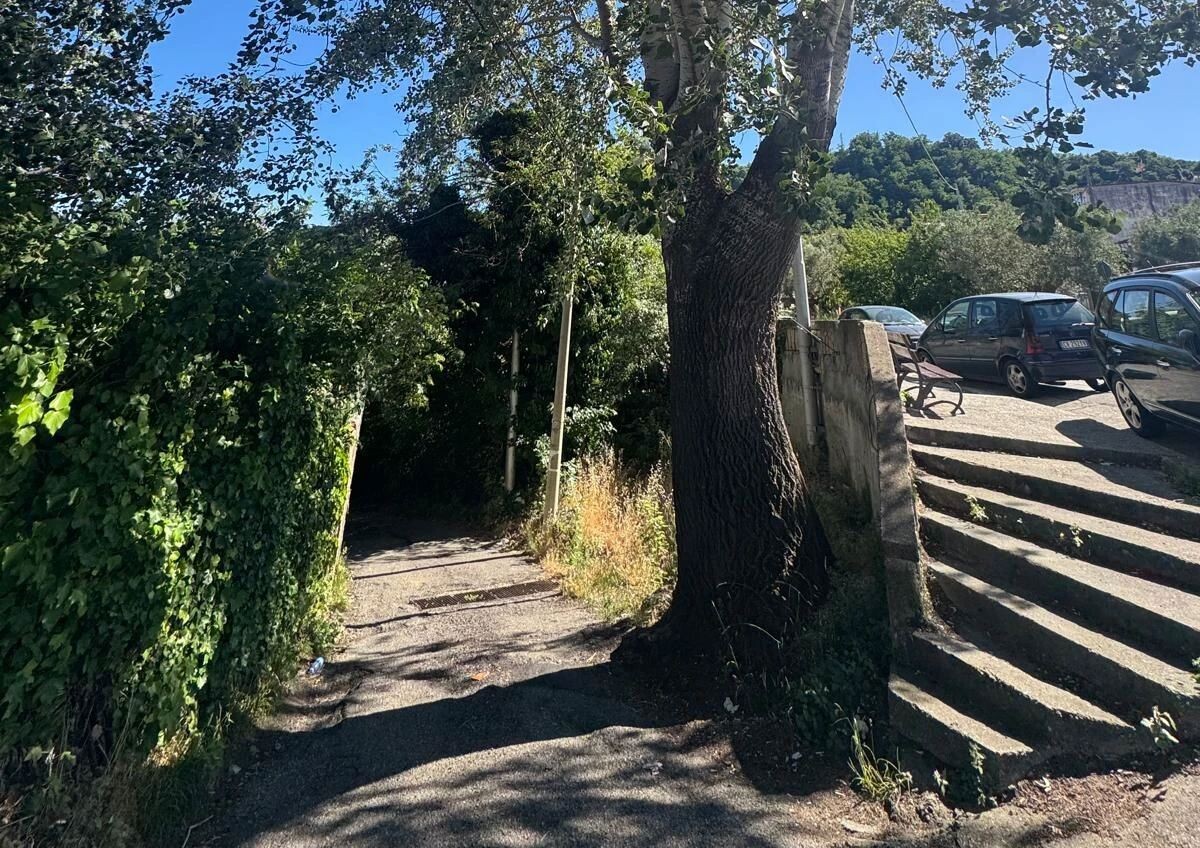 images Catanzaro, Silipo: "Ianò dimenticata, strade dissestate e discariche: l’amministrazione si svegli"