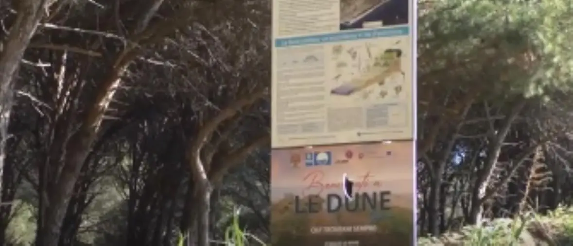 images Protocollo d'intesa per le dune di Giovino, Alleanza per Catanzaro: "Ennesima bufala di Fiorita" 