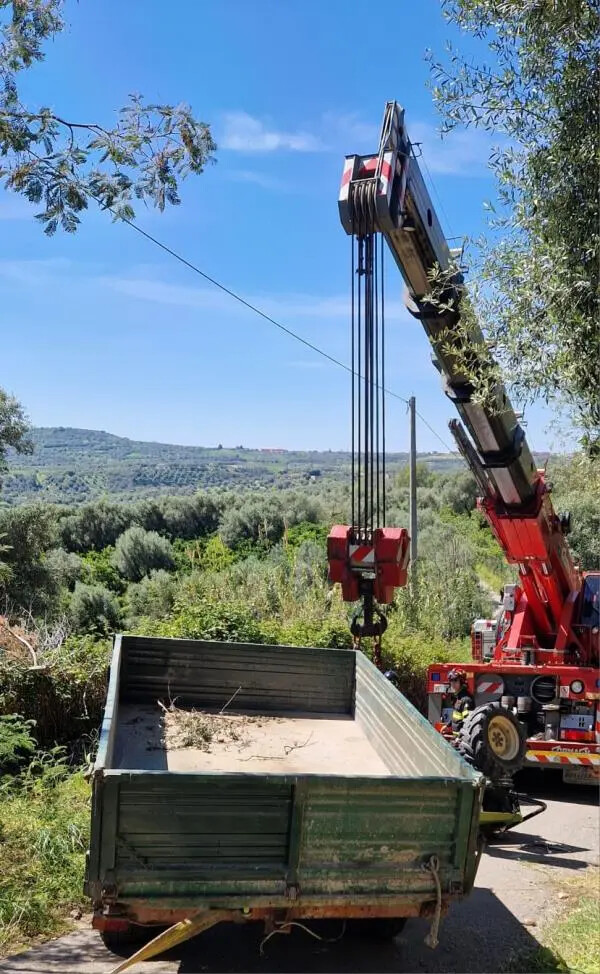 images Si ribalta con il trattore nel Vibonese: muore 77enne