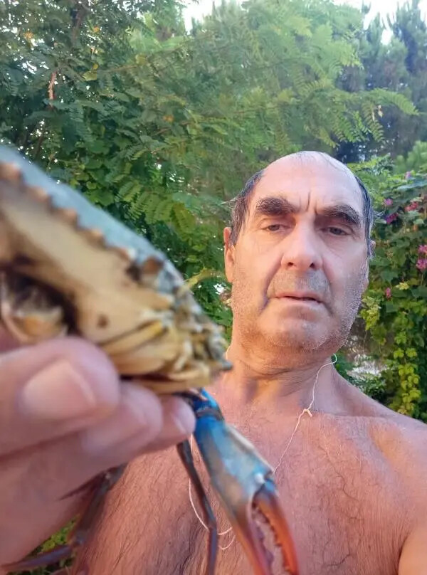 images Granchio blu, il team Alien Ispra Ambiente ringrazia il giornalista Luigi Stanizzi  per la segnalazione