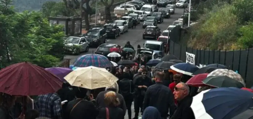 Catanzaro, nessuna barbarie nei confronti di Pati: il cane è stato ucciso a morsi da altri cani images Catanzaro, nessuna barbarie nei confronti di Pati: il cane è stato ucciso a morsi da altri cani