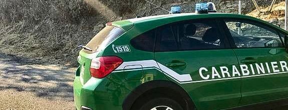 Officina abusiva sequestrata nel Vibonese: trovati 2 container colmi di componenti automobilistici e di 19 targhe images Officina abusiva sequestrata nel Vibonese: trovati 2 container colmi di componenti automobilistici e di 19 targhe