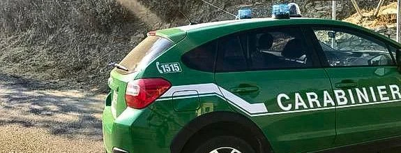 Officina abusiva sequestrata nel Vibonese: trovati 2 container colmi di componenti automobilistici e di 19 targhe 