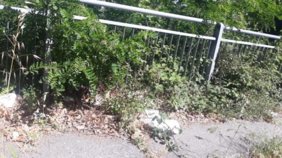 images Catanzaro. Santise (I Quartieri): "A Janò condizioni igieniche zero, intervenga il prefetto" 